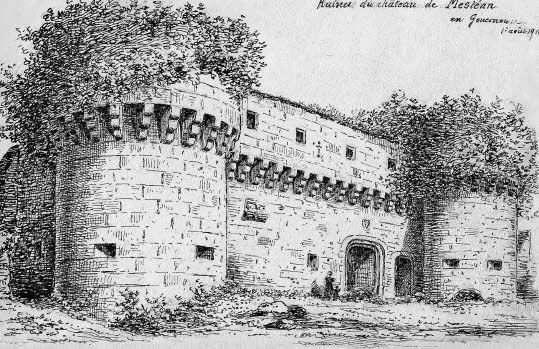 Chateau de Meslean